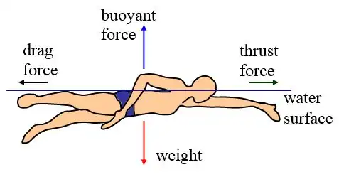 Photograph from the Horsepower Coaching blog post How to Improve Your Triathlon Swim