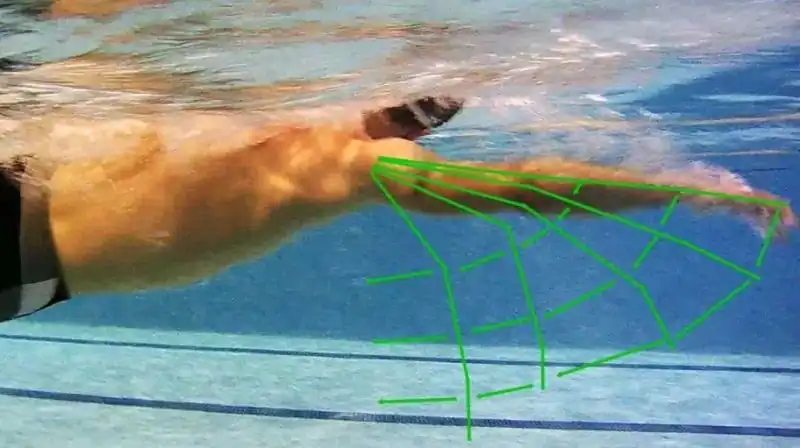 Photograph from the Horsepower Coaching blog post How to Improve Your Triathlon Swim