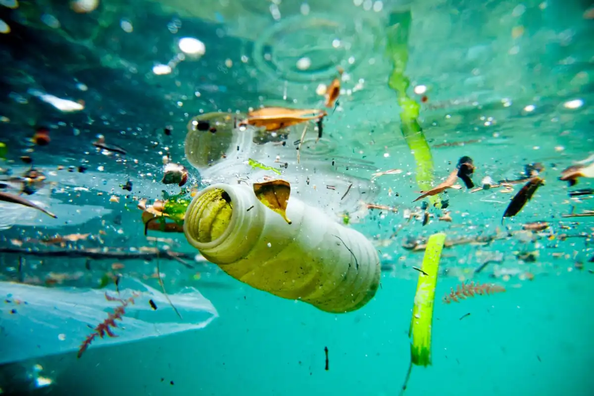 Original title photograph from the Horsepower Coaching blog post Plastic Plastic Plastic - A Story About Sport & Plastic Pollution
